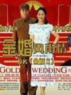 金婚·風雨情劇情介紹(1-51全集)