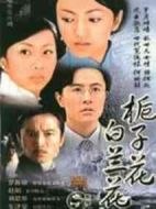 梔子花白蘭花劇情介紹(1-24全集)