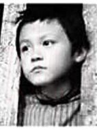 小蘿卜頭劇情介紹(1-8全集)