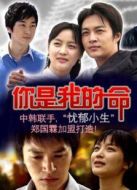 命運(yùn)的春天