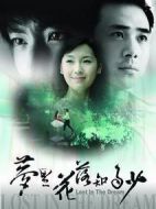 夢(mèng)里花落知多少劇情介紹(1-20全集)