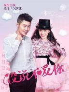 沒(méi)說(shuō)不愛(ài)你劇情介紹(1-23全集)