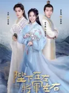 陛下在左，將軍在右劇情介紹(1-20全集)