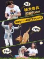 神犬奇兵首映禮劇情介紹(1-12全集)