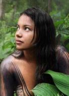 BBC：亞馬遜爭(zhēng)奪戰(zhàn)