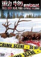 BBC：動物犯罪現場