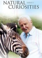 BBC：大衛(wèi)·愛登堡的自然珍品海報