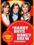 哈迪男孩劇情介紹(1-46全集)