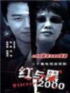 紅與黑2000劇情介紹(1-20全集)