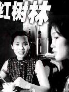 紅樹林劇情介紹(1-18全集)