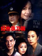 紅色康乃馨劇情介紹(1-22全集)