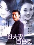 一日夫妻百日恩劇情介紹(1-27全集)