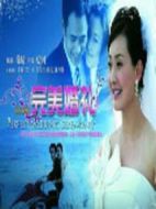 完美婚禮劇情介紹(1-22全集)