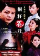 桐籽花開劇情介紹(1-25全集)