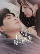 許少的隱婚甜妻第二季劇情介紹(1-30全集)