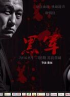 黑軍劇情介紹(1-12全集)