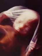 BBC：生育的真相