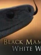 BBC自然世界：黑曼巴，白女巫