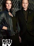 犯罪現(xiàn)場調(diào)查：紐約第九季海報(bào)