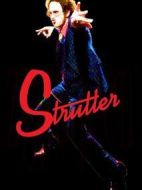 Strutter劇情介紹(1-16全集)