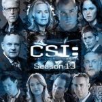 犯罪現(xiàn)場調(diào)查第十三季劇情介紹(1-22全集)