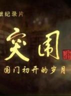 突圍---國門初開的歲月劇情介紹(1-6全集)