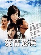 愛情海濱劇情介紹(1-21全集)