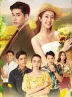 向日葵的火焰劇情介紹(1-0全集)