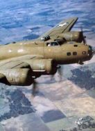 “自由百合”號劇情介紹(1-1全集)