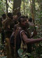 KBS：剛果海報(bào)