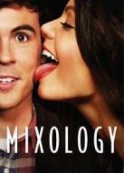 一夜尋情記第1季