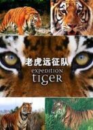 BBC：老虎遠(yuǎn)征隊