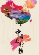 中國在行動劇情介紹(1-5全集)