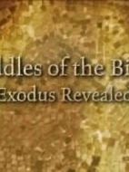 圣經之謎劇情介紹(1-4全集)