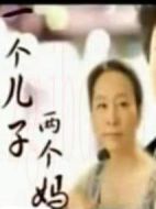 一個兒子兩個媽海報