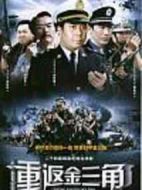 重返金三角劇情介紹(1-24全集)