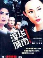 浮華城市劇情介紹(1-22全集)