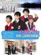 小留學(xué)生劇情介紹(1-20全集)