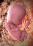 KBS：胎兒劇情介紹(1-2全集)