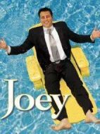 喬伊第二季劇情介紹(1-22全集)