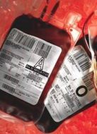 BBC：神奇的血液世界