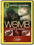 子宮日記：貓與犬