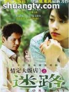 情定大飯店之迷路劇情介紹(1-22全集)