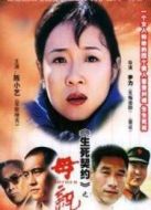 母親陳小藝版海報