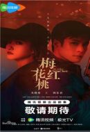 梅花紅桃劇情介紹(1-32全集)