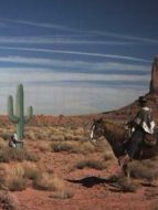 野生西部劇情介紹(1-1全集)