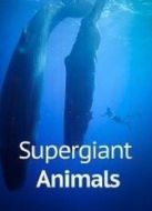 BBC：巨型動(dòng)物劇情介紹(1-1全集)