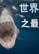 世界之最劇情介紹(1-6全集)