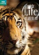 BBC：走進生命劇情介紹(1-10全集)