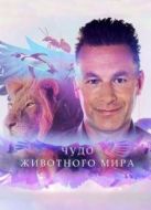 BBC：神奇的動物